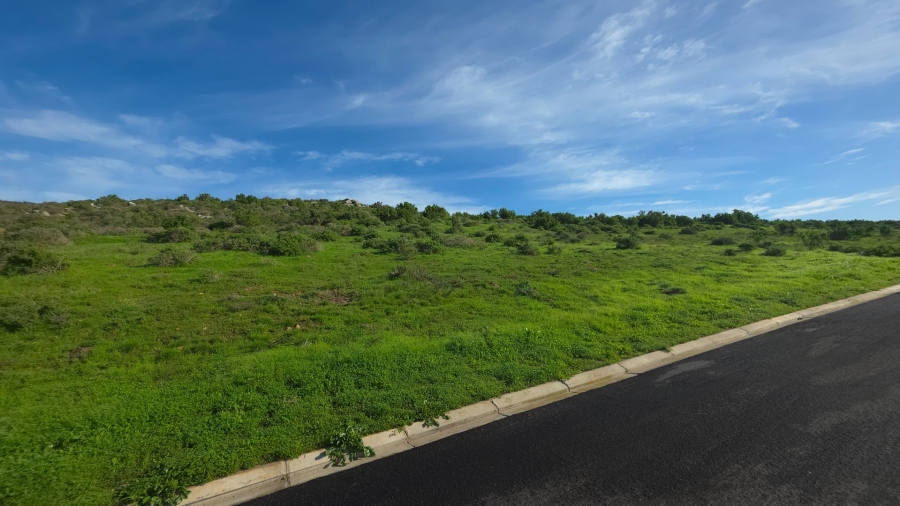 0 Bedroom Property for Sale in Saldanha Heights Western Cape